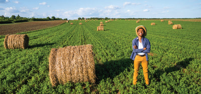 Fusarium in Crops: Prevent losses of up to 77% with proven solutions