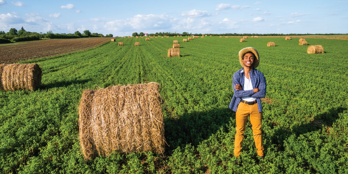 Fusarium in Crops: Prevent losses of up to 77% with proven solutions