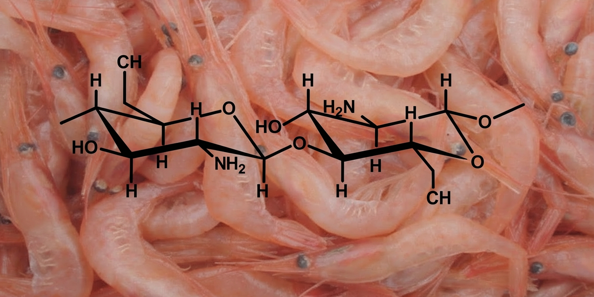 Todo Agricultor Debería Saber Esto Sobre el Quitosano si Quiere Proteger su Cosecha