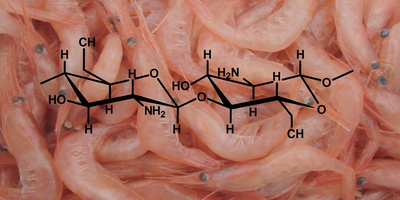 Todo Agricultor Debería Saber Esto Sobre el Quitosano si Quiere Proteger su Cosecha