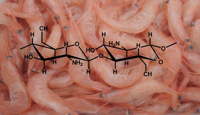 Todo Agricultor Debería Saber Esto Sobre el Quitosano si Quiere Proteger su Cosecha