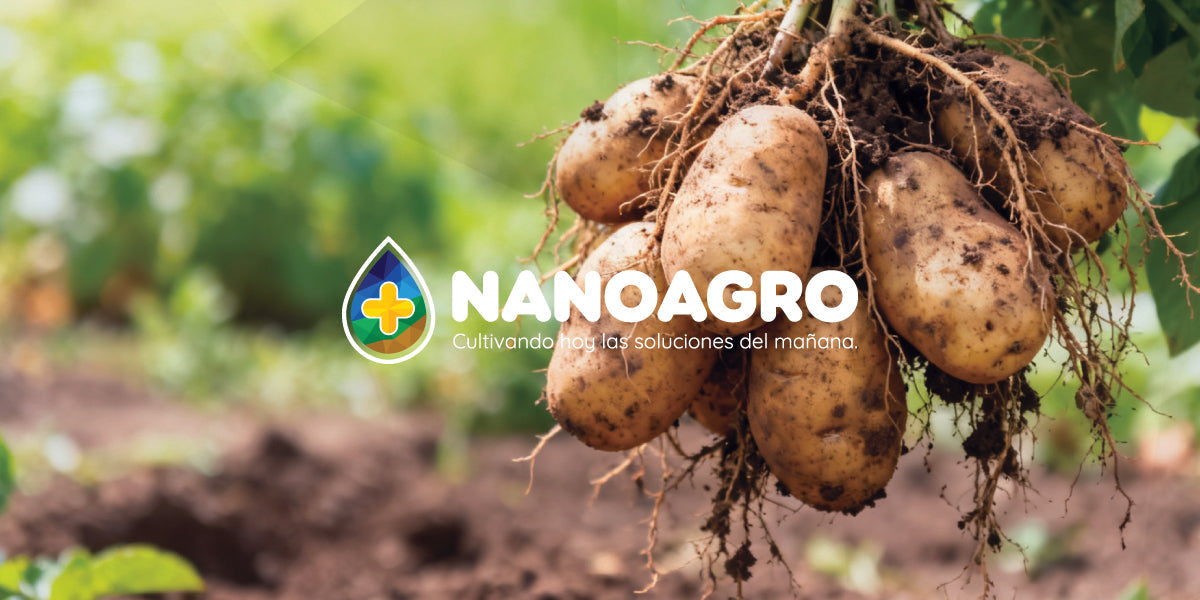 NANOAGRO: Innovación Biotecnológica para una Agricultura Regenerativa y Sostenible