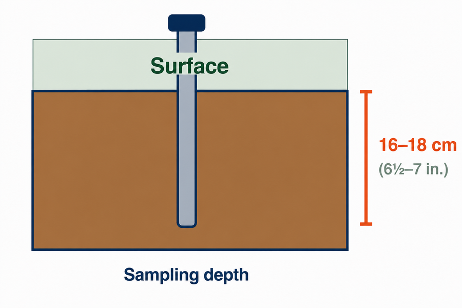 Sampling depth diagram