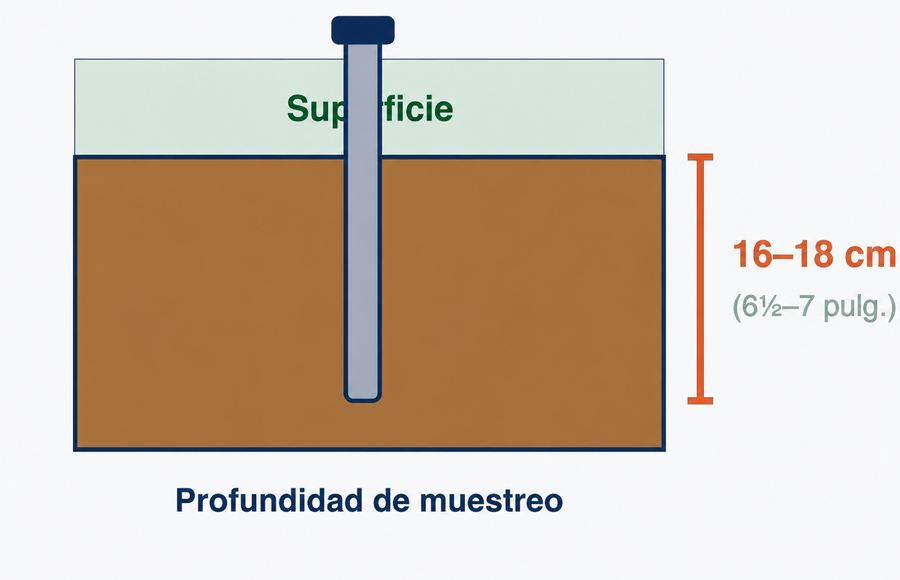 Diagrama de profundidad de muestreo