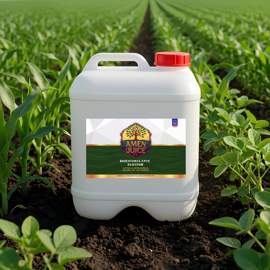 AMEN JUICE™ Bioestimulante Elicitor | 10 Litros
