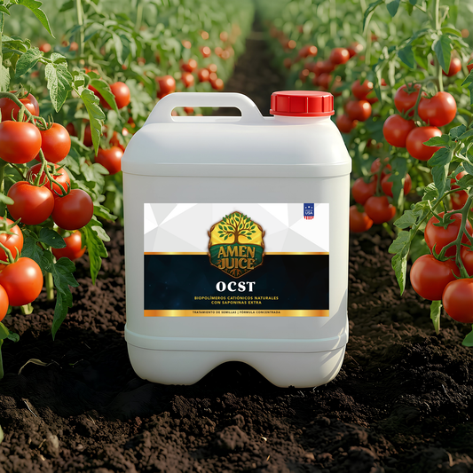 AMEN JUICE™ OCST | 10 Litros