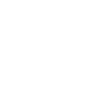Icono