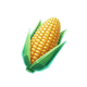 Maiz