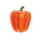 Pimenton